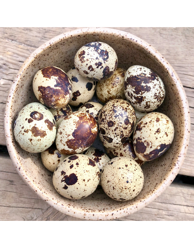 Big Country Raw Big Country Raw Dog Food | Quail Eggs 18 Ct (*Frozen Products for Local Delivery or In-Store Pickup Only. *)