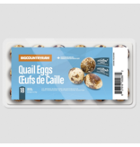 Big Country Raw Big Country Raw Dog Food | Quail Eggs 18 Ct (*Frozen Products for Local Delivery or In-Store Pickup Only. *)