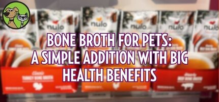 Bone Broth for Pets: A Simple Addition with Big Health Benefits