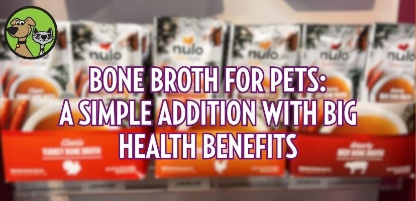 Bone Broth for Pets: A Simple Addition with Big Health Benefits