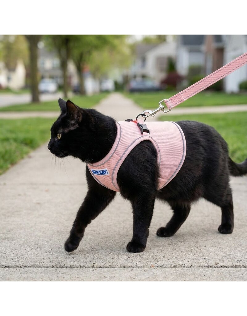 BayDog BayCat Harness | Chesapeake Rose w/ 6 Ft Leash Medium