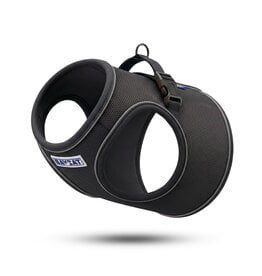 BayDog BayCat Harness | Covert Black w/ 6 Ft Leash Small