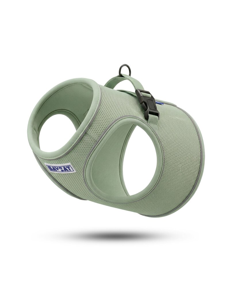 BayDog BayCat Harness | Coastal Fern w/ 6 Ft Leash Medium