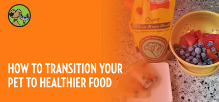 How to Transition Your Pet to Healthier Food