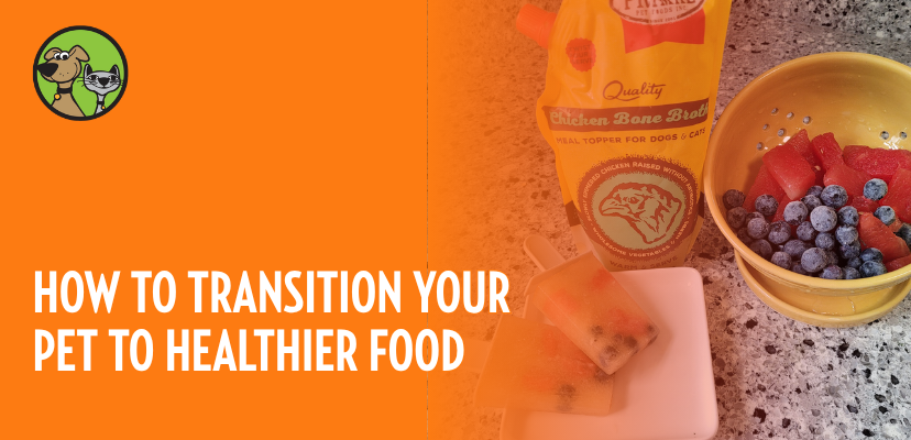 How to Transition Your Pet to Healthier Food