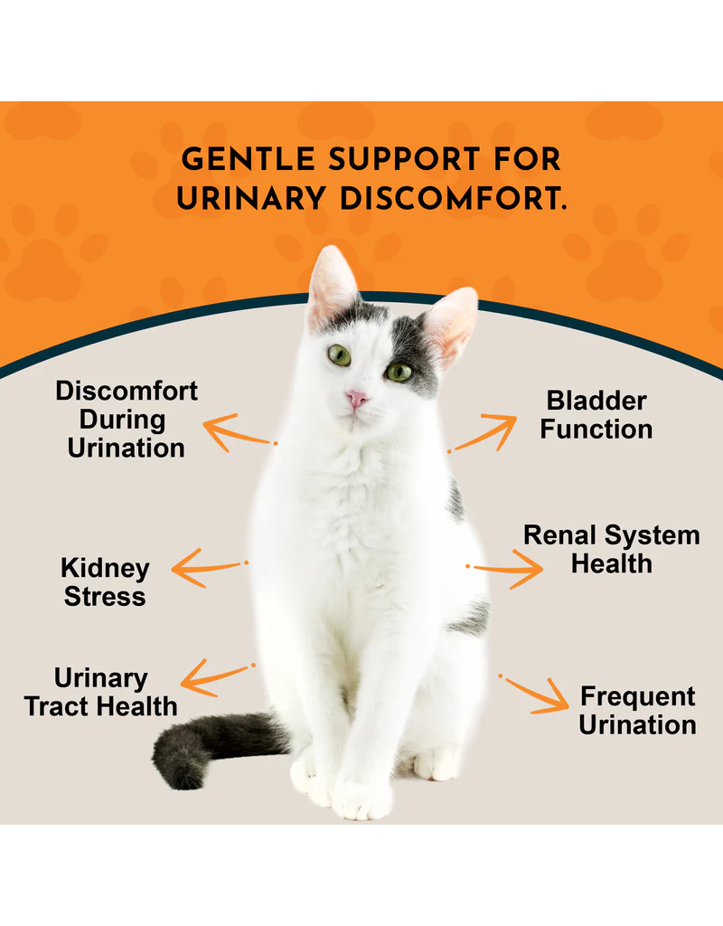 Animal Essentials Animal Essentials Supplements | Tinkle Tonic 2 oz