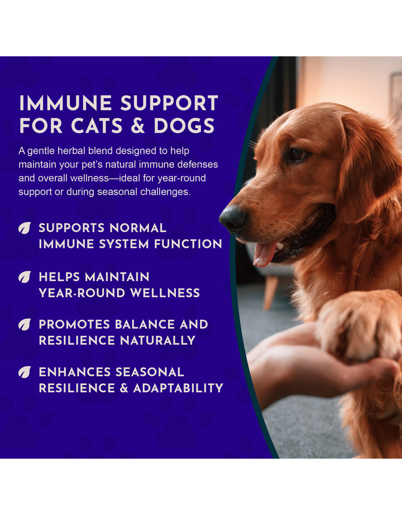 Animal Essentials Animal Essentials Supplements | Super Immune 2 oz