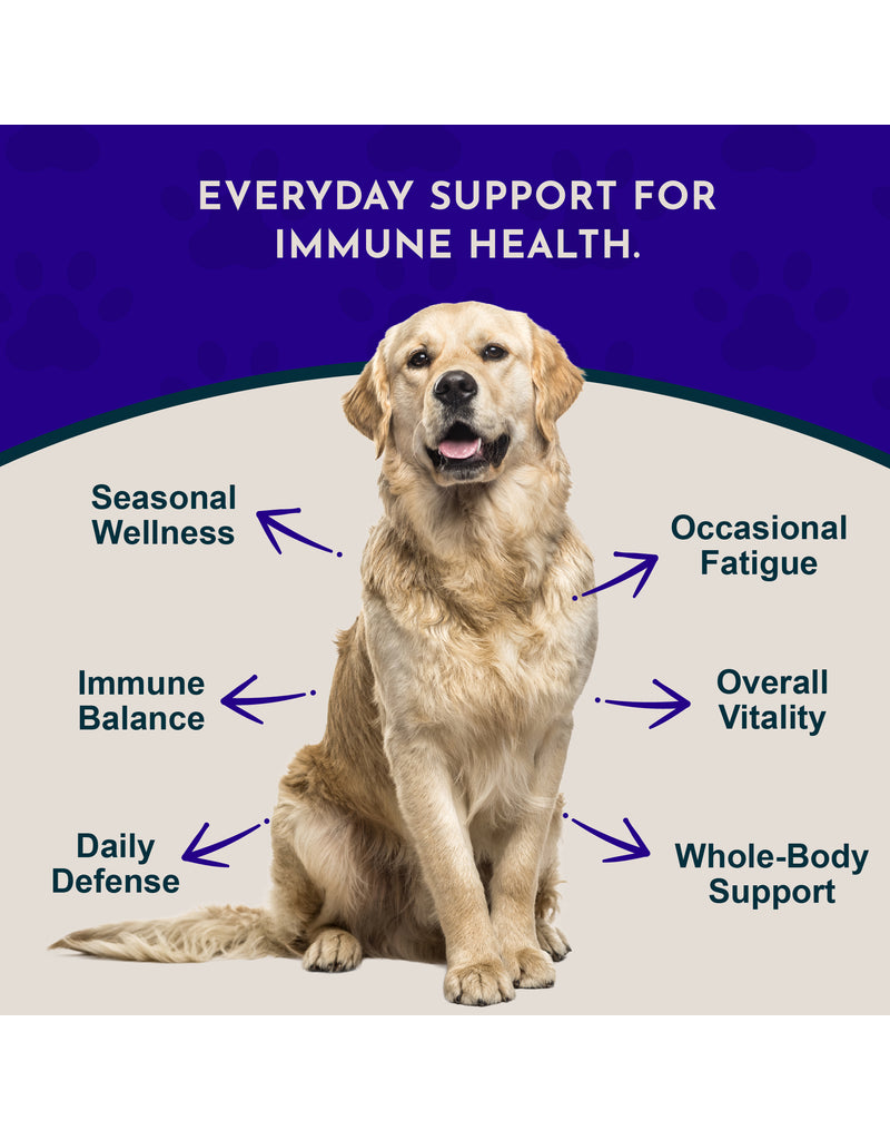Animal Essentials Animal Essentials Supplements | Super Immune 2 oz