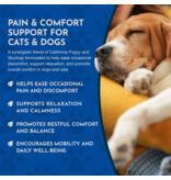 Animal Essentials Animal Essentials Supplements | Comfort Plus 2 oz