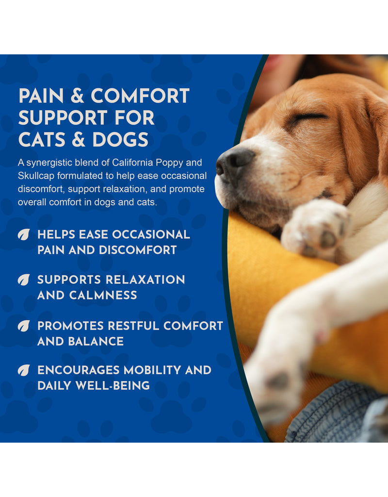 Animal Essentials Animal Essentials Supplements | Comfort Plus 2 oz