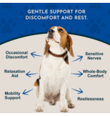 Animal Essentials Animal Essentials Supplements | Comfort Plus 2 oz