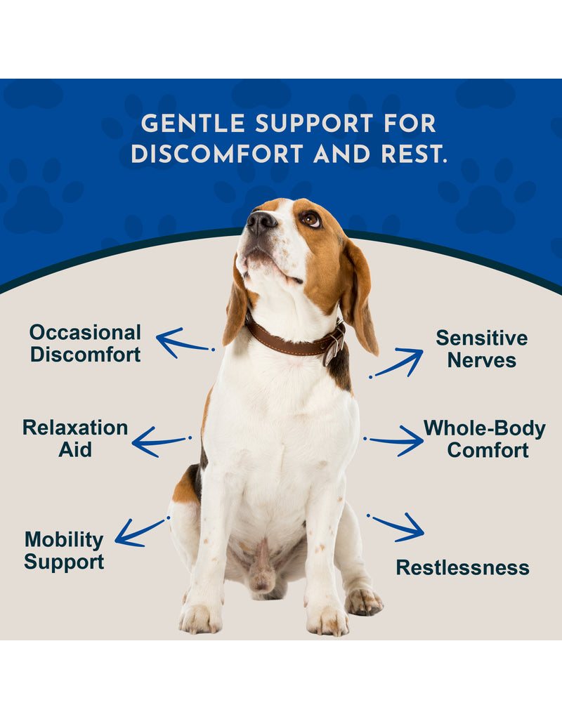 Animal Essentials Animal Essentials Supplements | Comfort Plus 2 oz