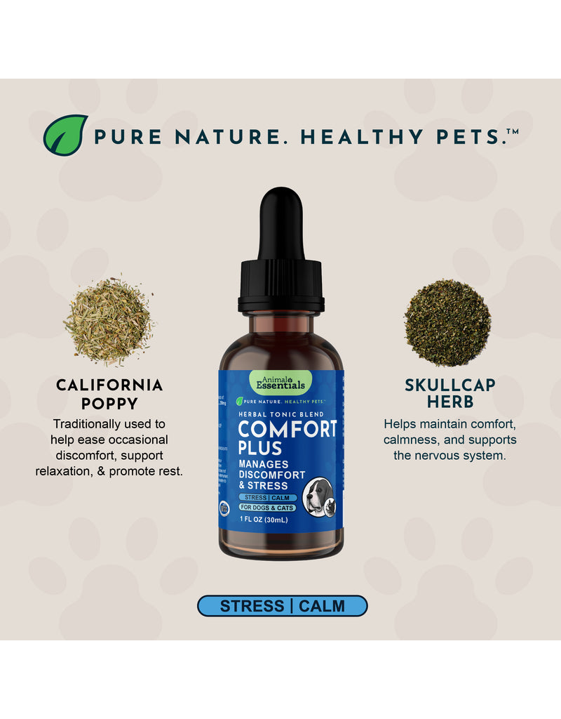 Animal Essentials Animal Essentials Supplements | Comfort Plus 2 oz