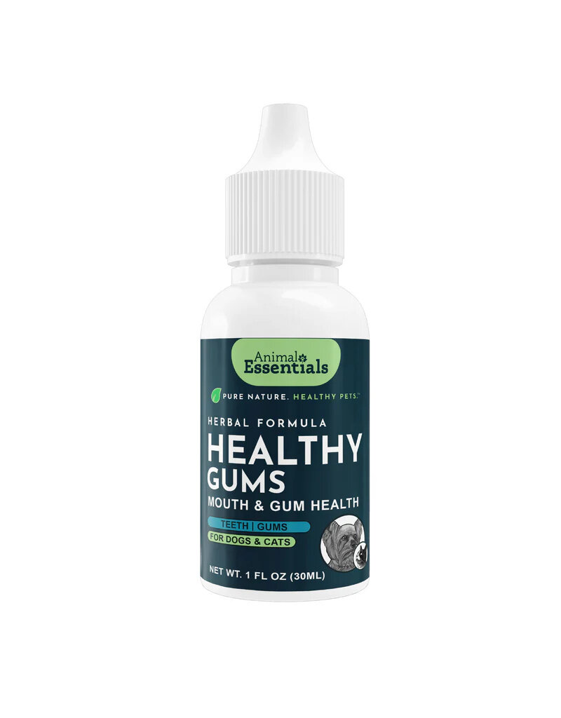 Animal Essentials Animal Essentials Healthy Gums 1 oz