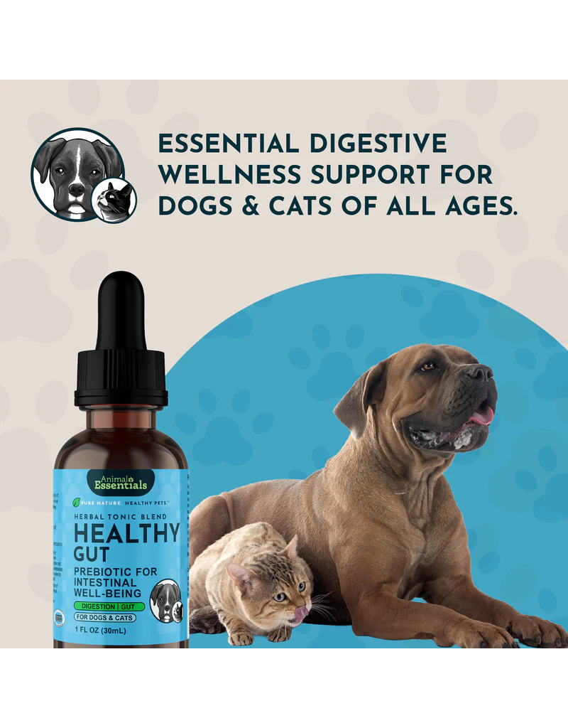 Animal Essentials Animal Essentials Supplements | Healthy Gut 2 oz