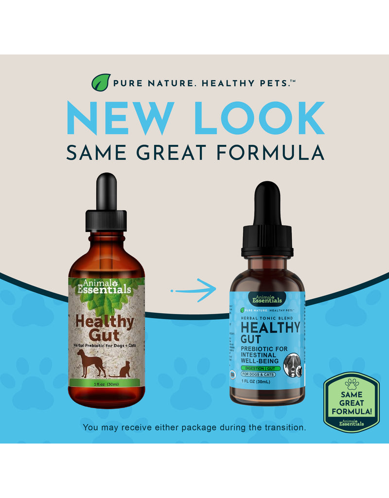 Animal Essentials Animal Essentials Supplements | Healthy Gut 2 oz