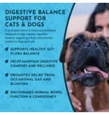 Animal Essentials Animal Essentials Supplements | Healthy Gut 2 oz