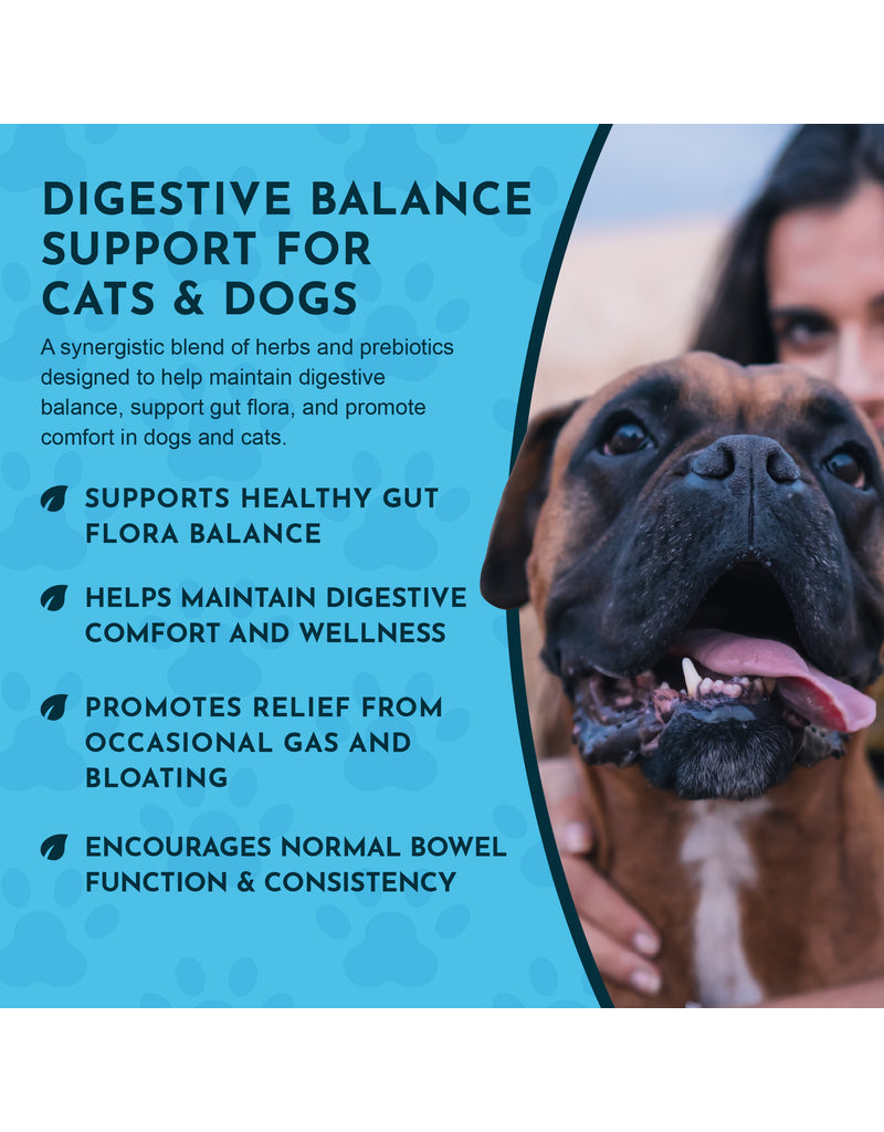 Animal Essentials Animal Essentials Supplements | Healthy Gut 2 oz