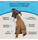 Animal Essentials Animal Essentials Supplements | Healthy Gut 2 oz