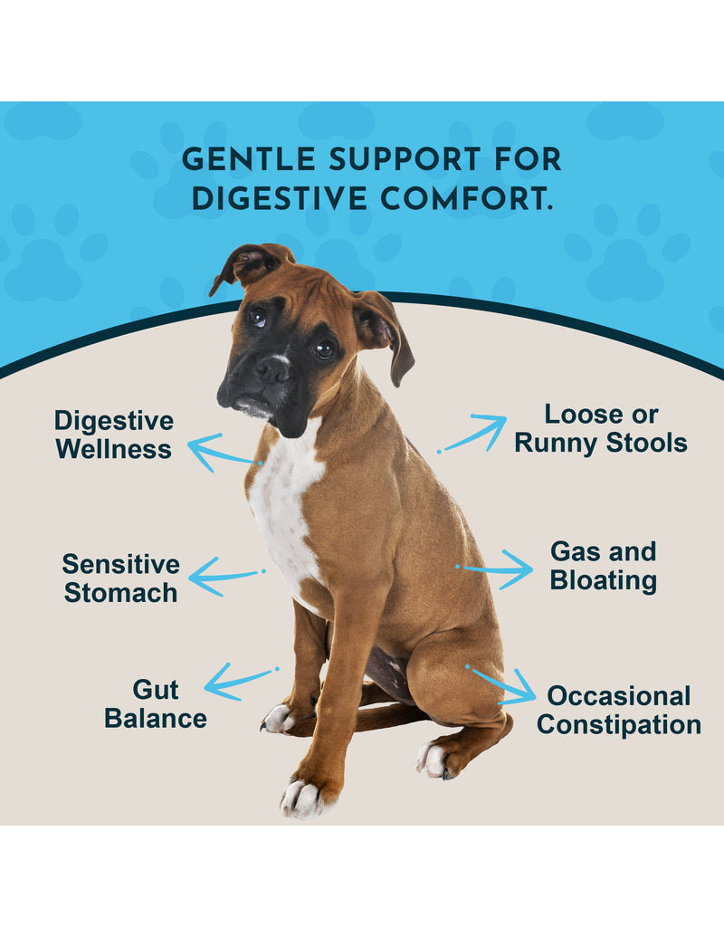 Animal Essentials Animal Essentials Supplements | Healthy Gut 2 oz