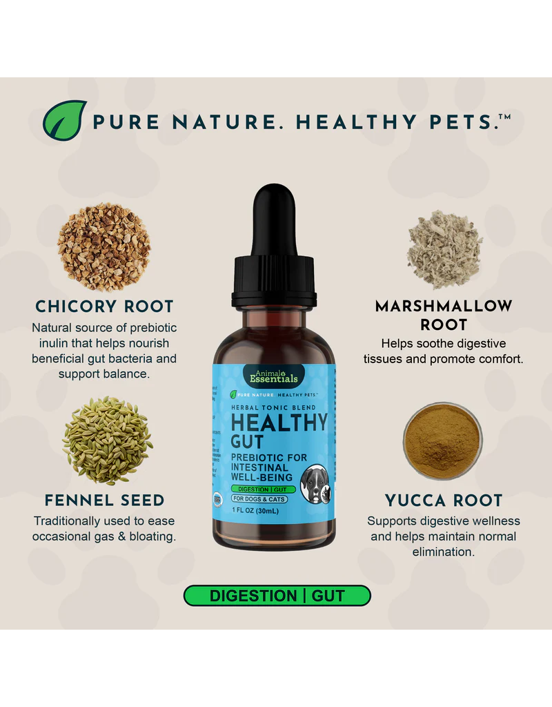 Animal Essentials Animal Essentials Supplements | Healthy Gut 2 oz