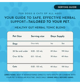Animal Essentials Animal Essentials Supplements | Healthy Gut 2 oz