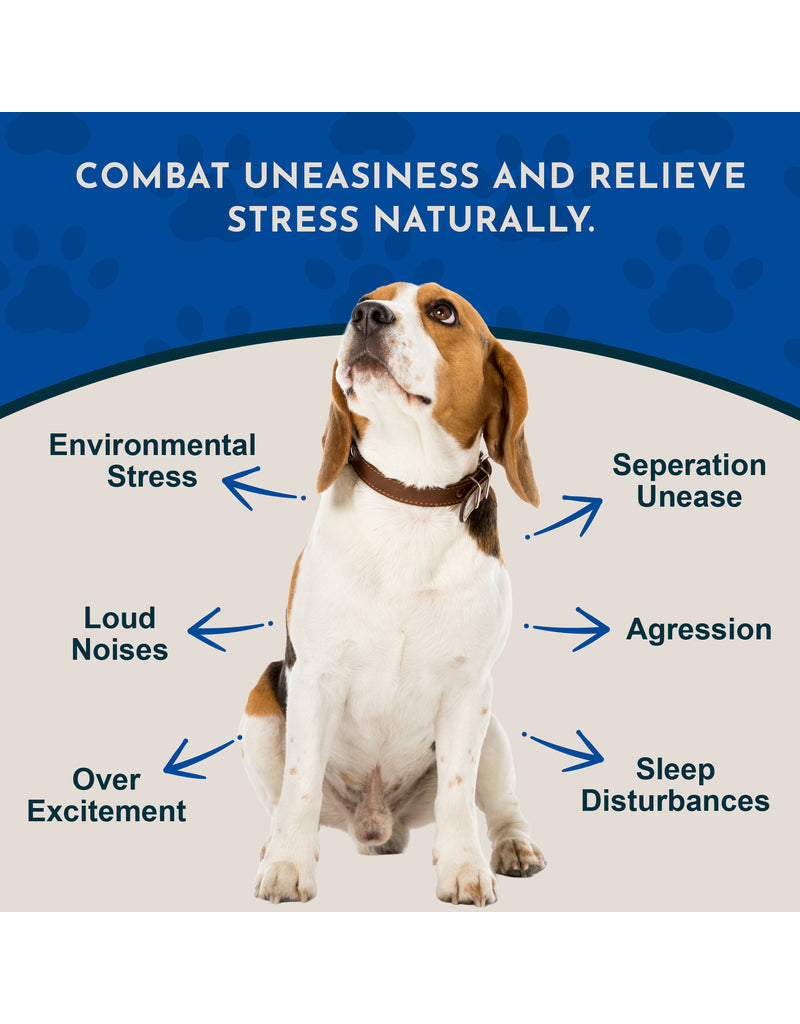 Animal Essentials Animal Essentials Supplements | Tranquility Blend 2 oz