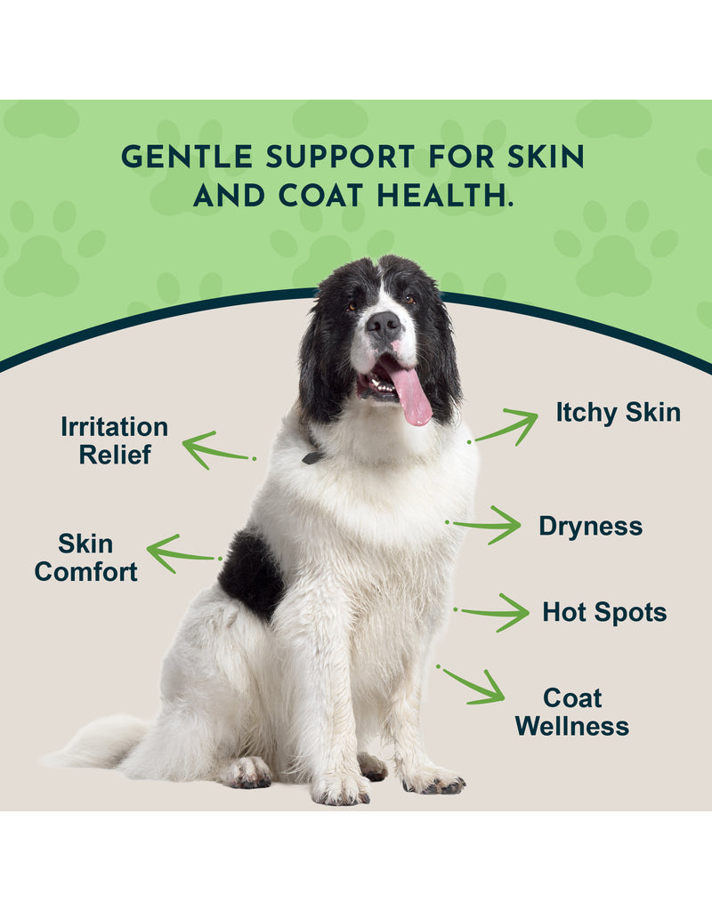 Animal Essentials Animal Essentials FidoDerm Herbal Spray 4 oz