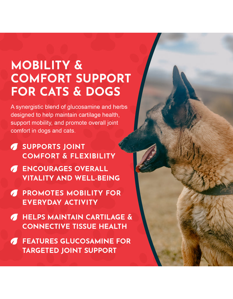 Animal Essentials Animal Essentials Supplements | Joint Support 2 oz