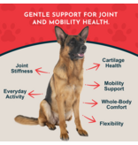 Animal Essentials Animal Essentials Supplements | Joint Support 2 oz