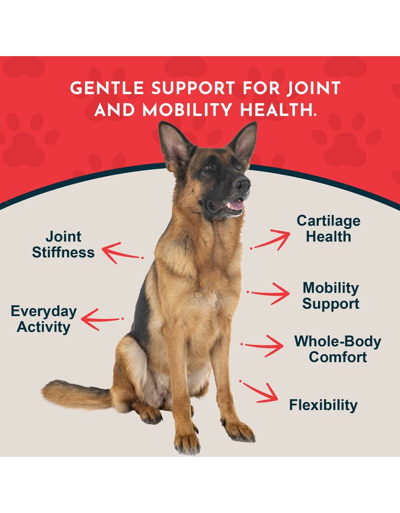 Animal Essentials Animal Essentials Supplements | Joint Support 2 oz