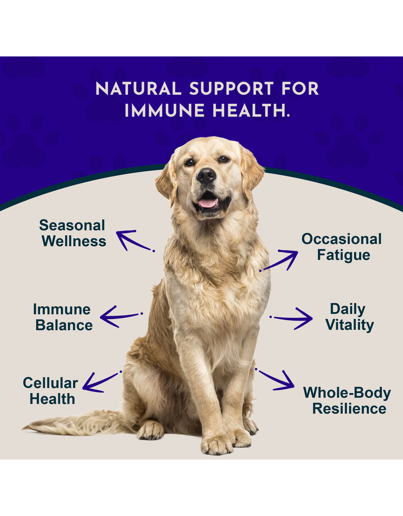Animal Essentials Animal Essentials Tinctures Mushroom Defense Myco Triplex 2 oz