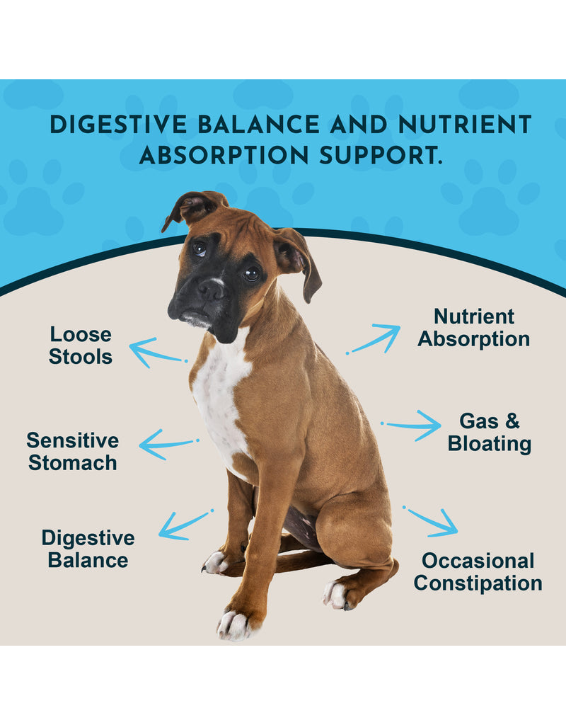 Animal Essentials Animal Essentials Plant Enzymes & Probiotics 10.6 oz (300 g)
