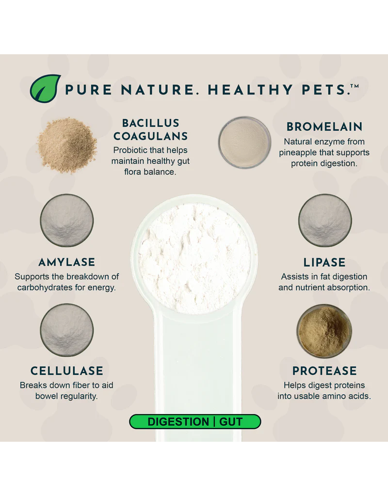 Animal Essentials Animal Essentials Plant Enzymes & Probiotics 3.5 oz (100 g)