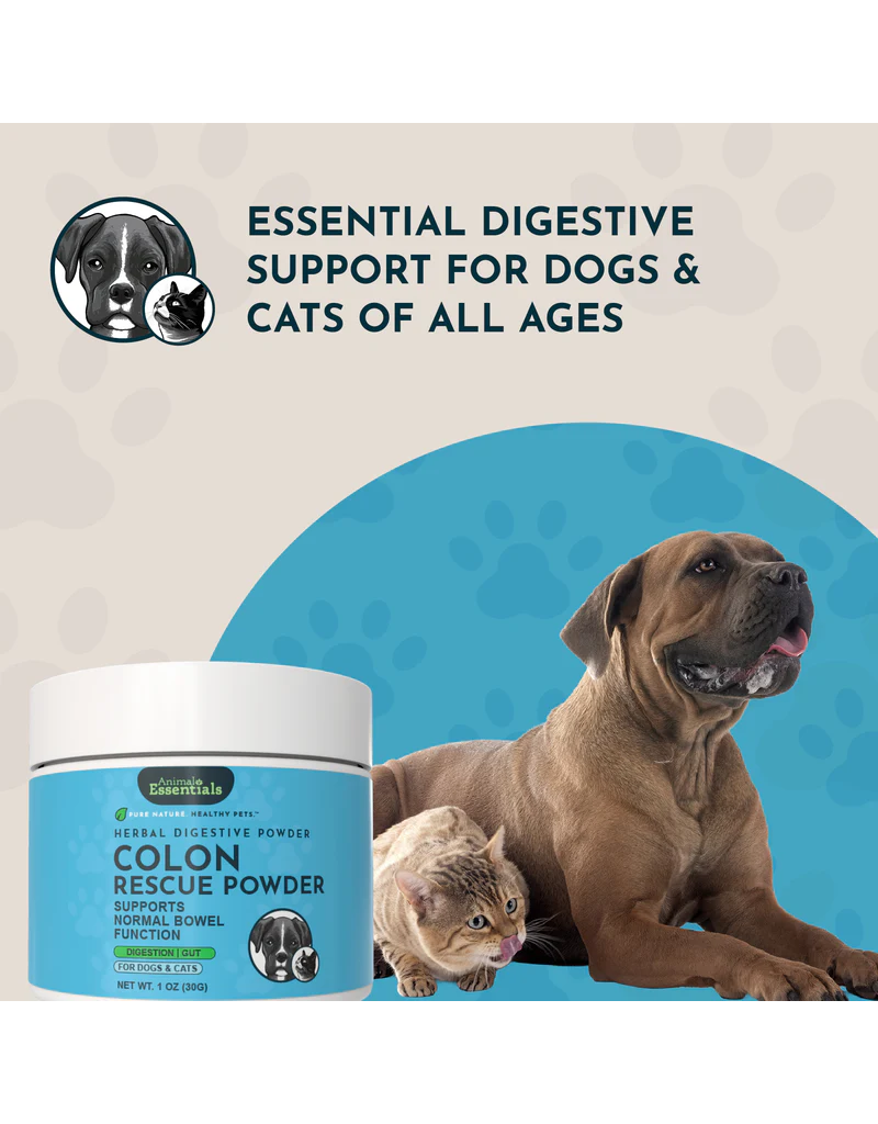 Animal Essentials Animal Essentials Colon Rescue Powder 1 oz