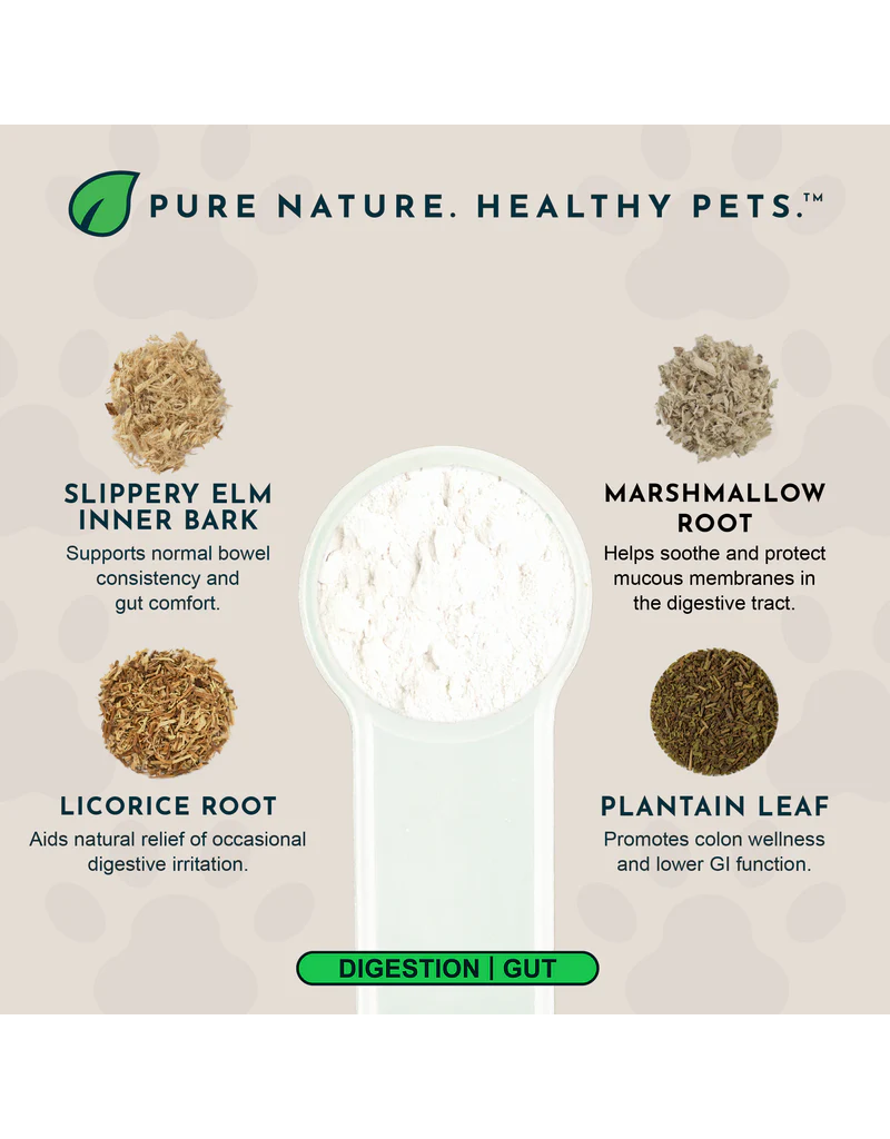 Animal Essentials Animal Essentials Colon Rescue Powder 1 oz