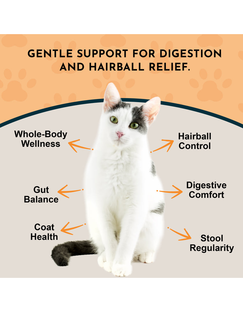 Animal Essentials Animal Essentials Tinctures Marshmallow 2 oz