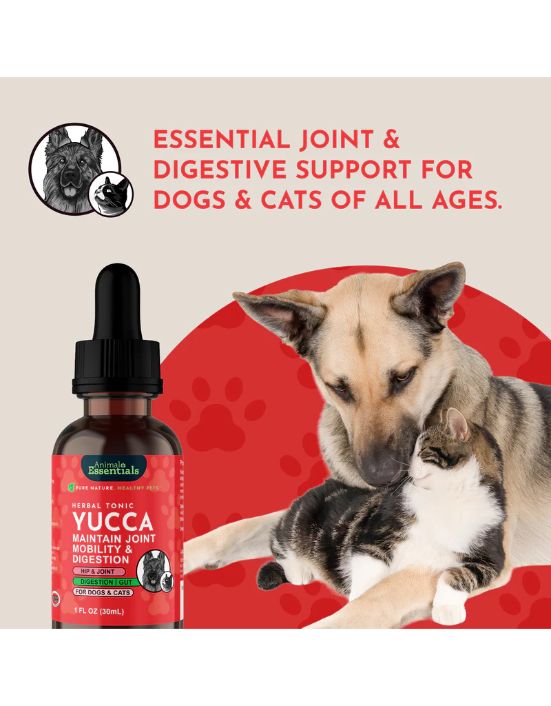 Animal Essentials Animal Essentials Supplements | Yucca 2 oz