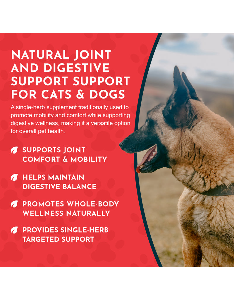 Animal Essentials Animal Essentials Supplements | Yucca 2 oz