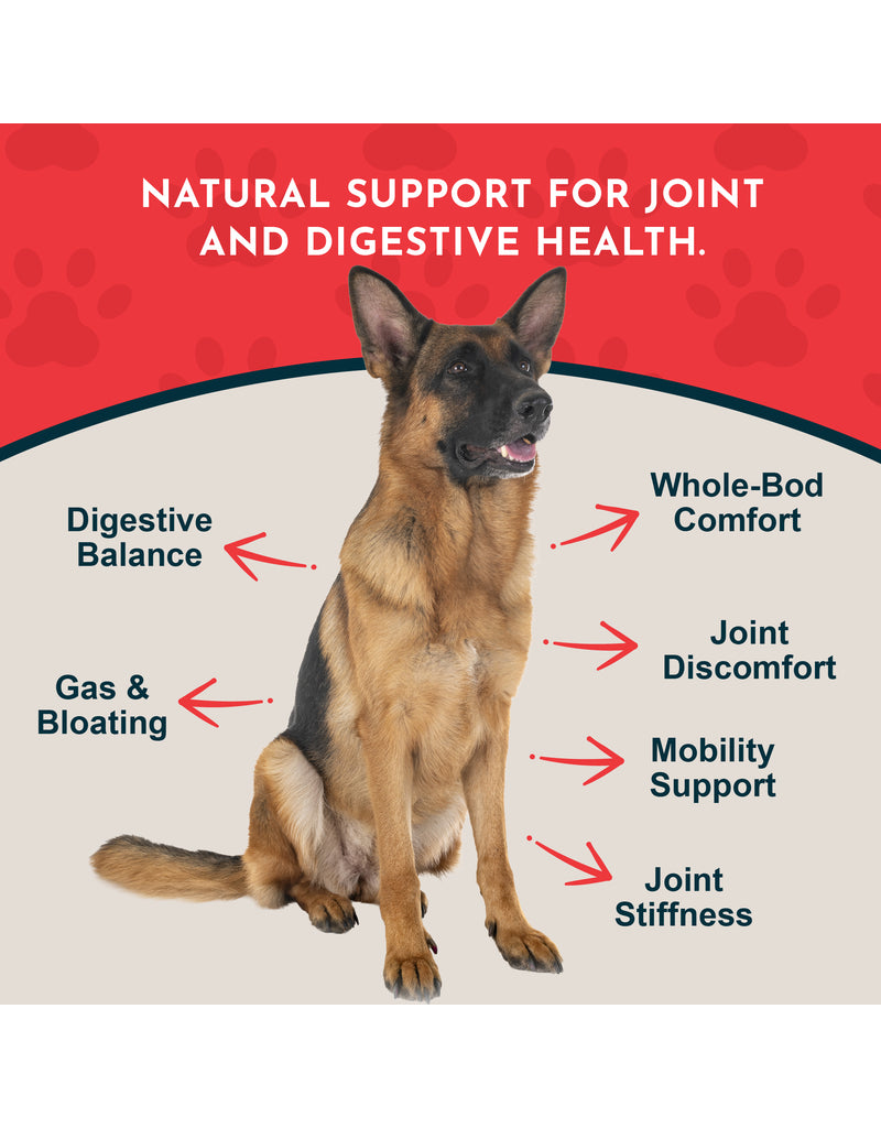 Animal Essentials Animal Essentials Supplements | Yucca 2 oz