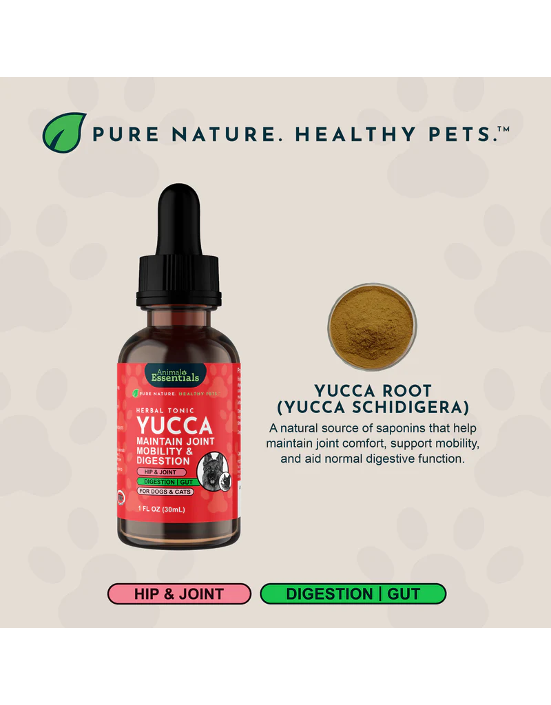 Animal Essentials Animal Essentials Supplements | Yucca 2 oz