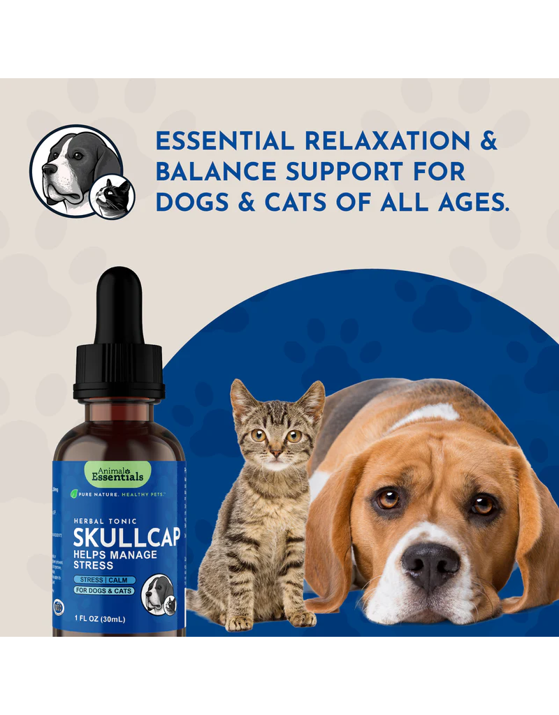 Animal Essentials Animal Essentials Supplements | Skullcap 2 oz