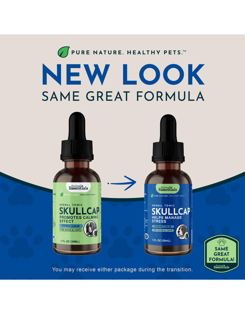 Animal Essentials Animal Essentials Supplements | Skullcap 2 oz