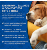 Animal Essentials Animal Essentials Supplements | Skullcap 2 oz