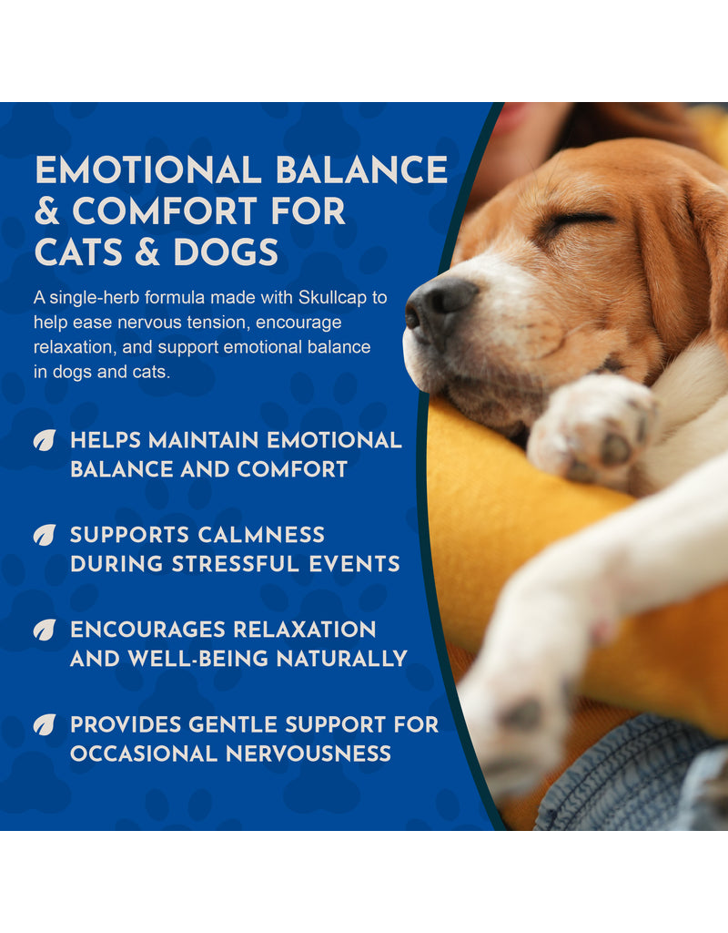 Animal Essentials Animal Essentials Supplements | Skullcap 2 oz