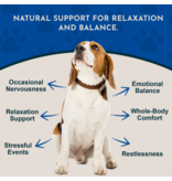 Animal Essentials Animal Essentials Supplements | Skullcap 2 oz