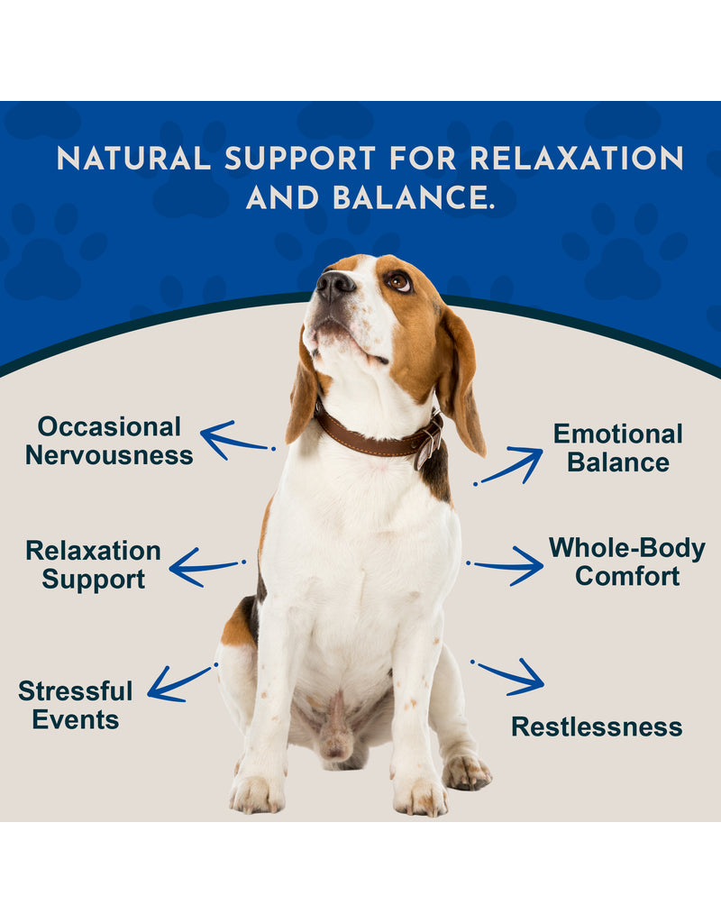 Animal Essentials Animal Essentials Supplements | Skullcap 2 oz