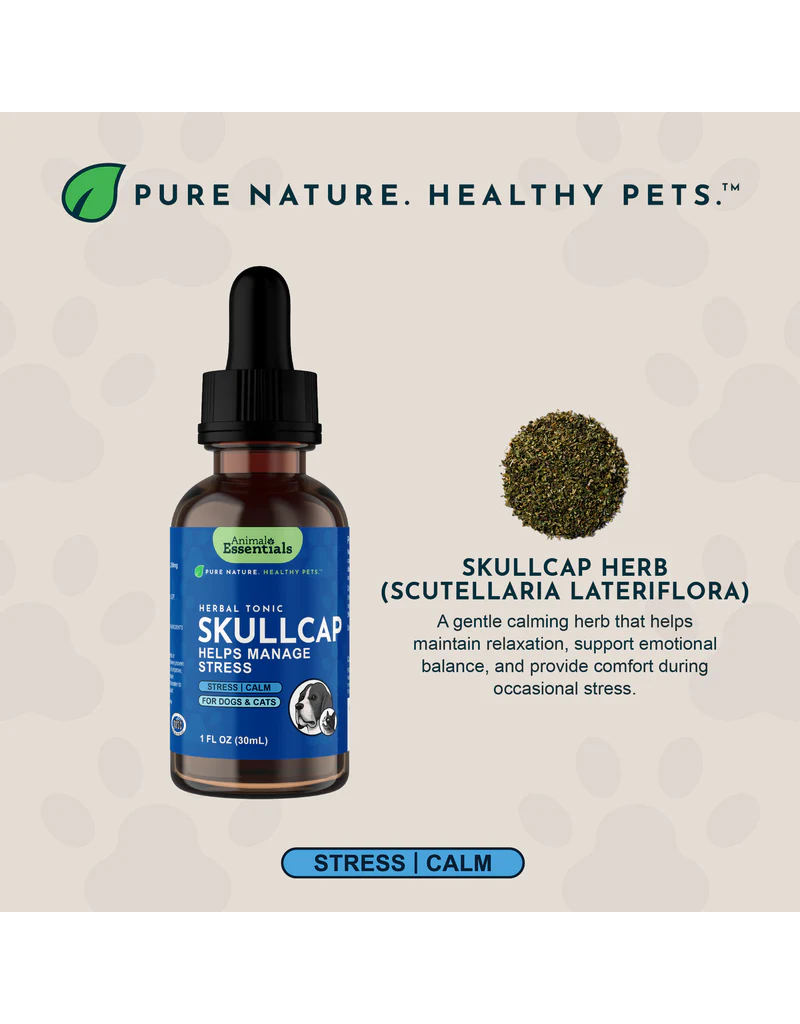 Animal Essentials Animal Essentials Supplements | Skullcap 2 oz