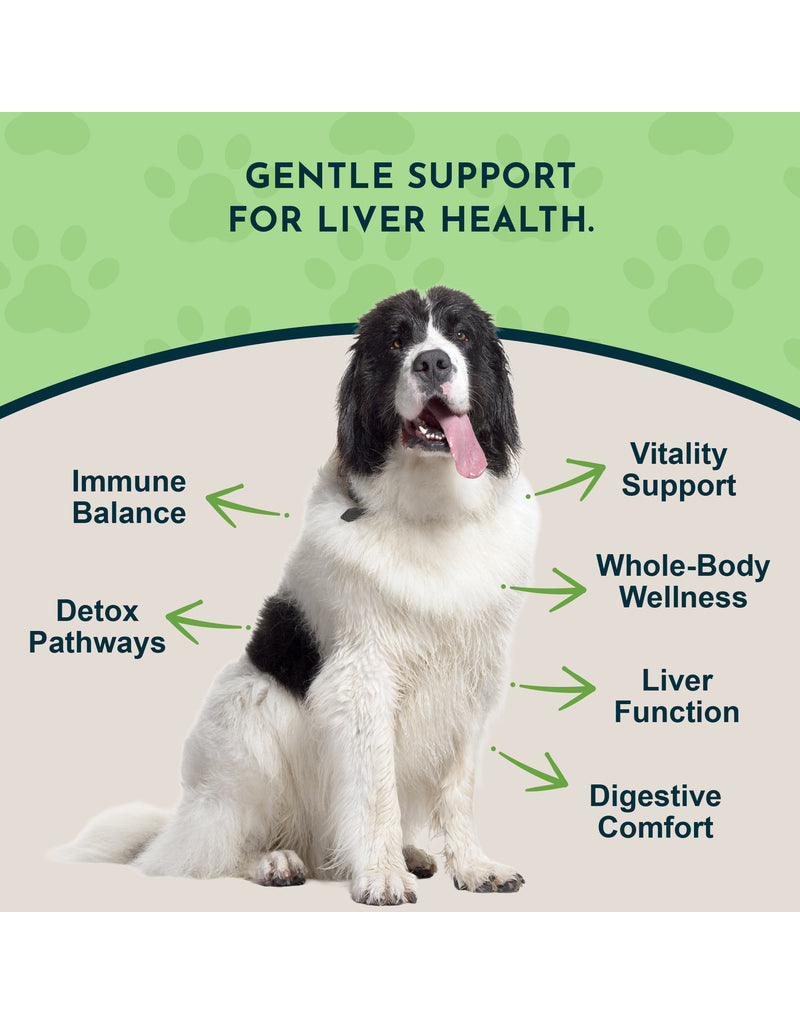 Animal Essentials Animal Essentials Supplements | Liver Defense 2 oz