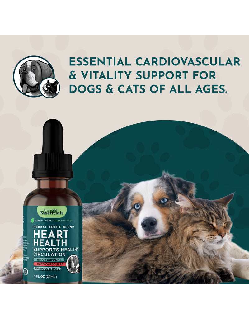 Animal Essentials Animal Essentials Supplements | Heart Health 2 oz